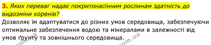 3. Яких переваг надає покритонасінним рослинам здатність до видозміни коренів? — ГДЗ Біологія 7 клас Тагліна