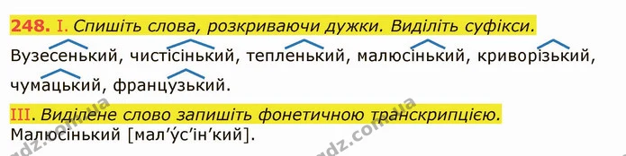 248. І. Спишіть слова, розкриваючи дужки. Виділіть суфікси. — ГДЗ Українська мова 6 клас Заболотний 2019