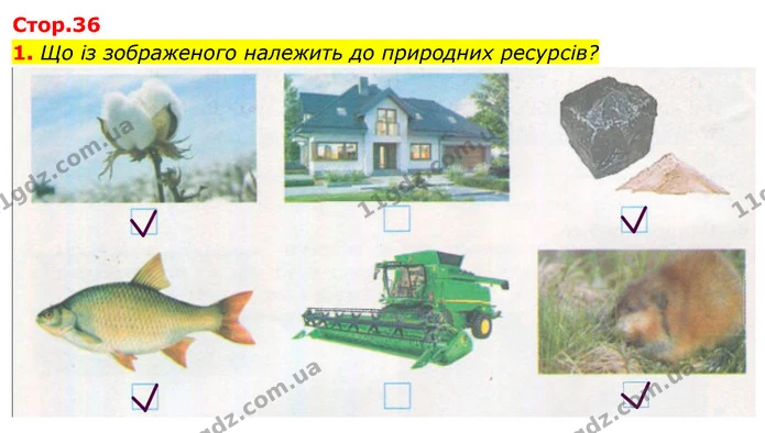 1. Що із зображеного належить до природних ресурсів? — ГДЗ Робочий зошит Я досліджую світ 4 клас Гільберг