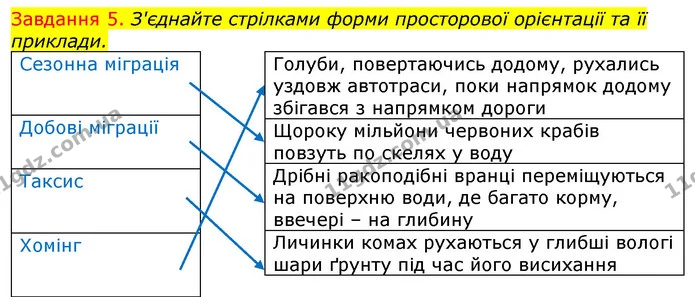 Стор. 85 — 5 — ГДЗ Робочий зошит з Біології 7 клас Яременко — ГДЗ Робочий зошит з Біології 7 клас Яременко
