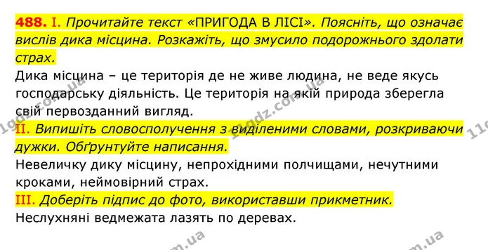 488. І. Прочитайте текст «ПРИГОДА В ЛІСІ». Поясніть, що означає вислів дика місцина. Розкажіть, що змусило подорожнього здолати страх. — ГДЗ Українська мова 6 клас Заболотний 2023