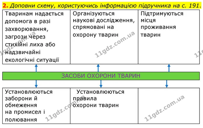 2. Доповни схему, користуючись інформацією підручника на с. 191. — ГДЗ робочий зошит Біологія 7 клас Тагліна