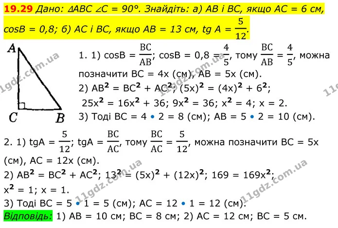 19.29 Дано: ∆ABC ∠C = 90°. Знайдіть: а) AB і BC, якщо AC = 6 см, cosB = 0,8; б) AC і BC, якщо AB = 13 см, tg A = 512. — ГДЗ Геометрія 8 клас Істер