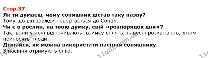 Упізнай країну за магнітиком. — Решебник Я досліджую світ 1 клас Грущинська