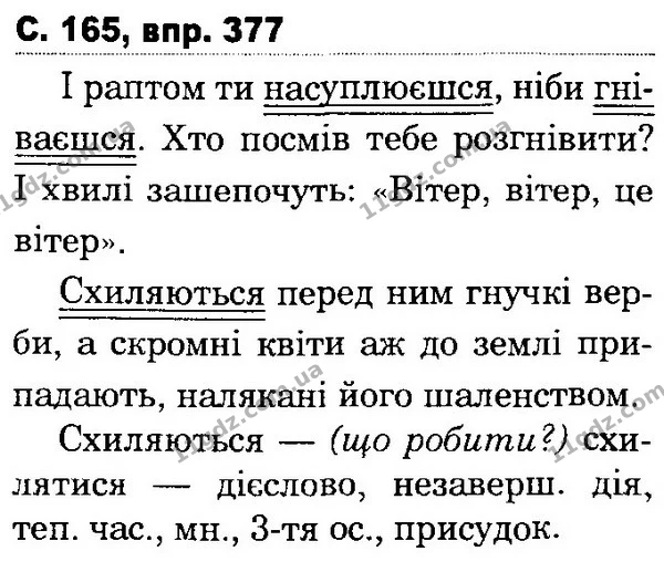 377 — ГДЗ Українська мова та читання 4 клас Захарійчук 2015