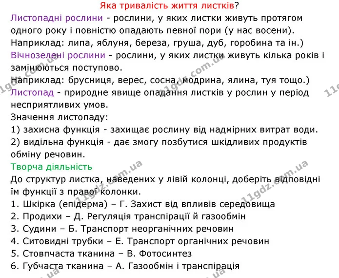Стор. 45 — 2 — ГДЗ Робочий зошит Біологія 6 клас Соболь — ГДЗ Робочий зошит Біологія 6 клас Соболь