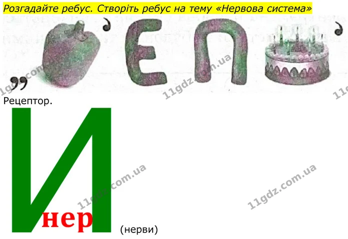 Стор. 18 — 7 — ГДЗ Робочий зошит біологія 8 клас Мирна — ГДЗ Робочий зошит біологія 8 клас Мирна