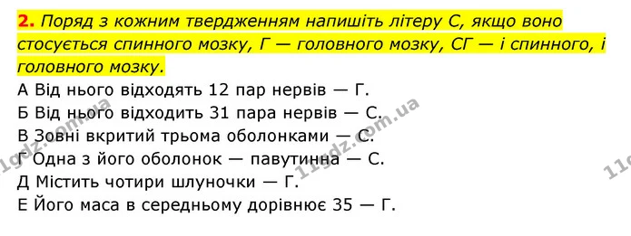 2. Поряд з кожним твердженням напишіть літеру С, якщо воно стосується спинного мозку, Г — головного мозку, СГ — і спинного, і головного — ГДЗ Робочий зошит Біологія 8 клас Задорожний