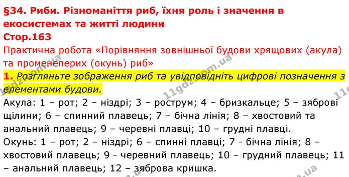 1. Розгляньте зображення риб та увідповідніть цифрові позначення з елементами будови. — ГДЗ Біологія 7 клас Тагліна
