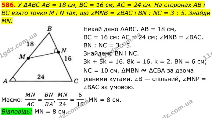 586. У ∆ABC AB = 18 см, BC = 16 см, AC = 24 см. На сторонах AB і BC взято точки M і N так, що ∠MNB = ∠BAC і BN : NC = 3 : 5. Знайди MN. — ГДЗ Геометрія 8 клас Бевз