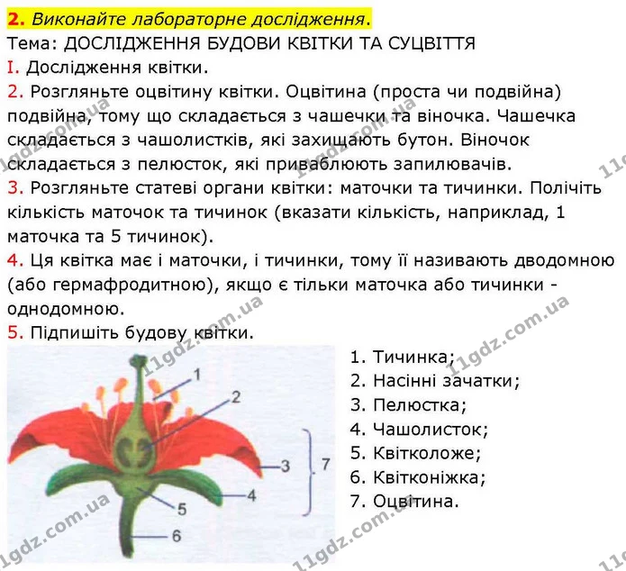 Стор. 45 — Стр.45 (2.1) — ГДЗ робочий зошит Біологія 7 клас Кулініч — ГДЗ робочий зошит Біологія 7 клас Кулініч