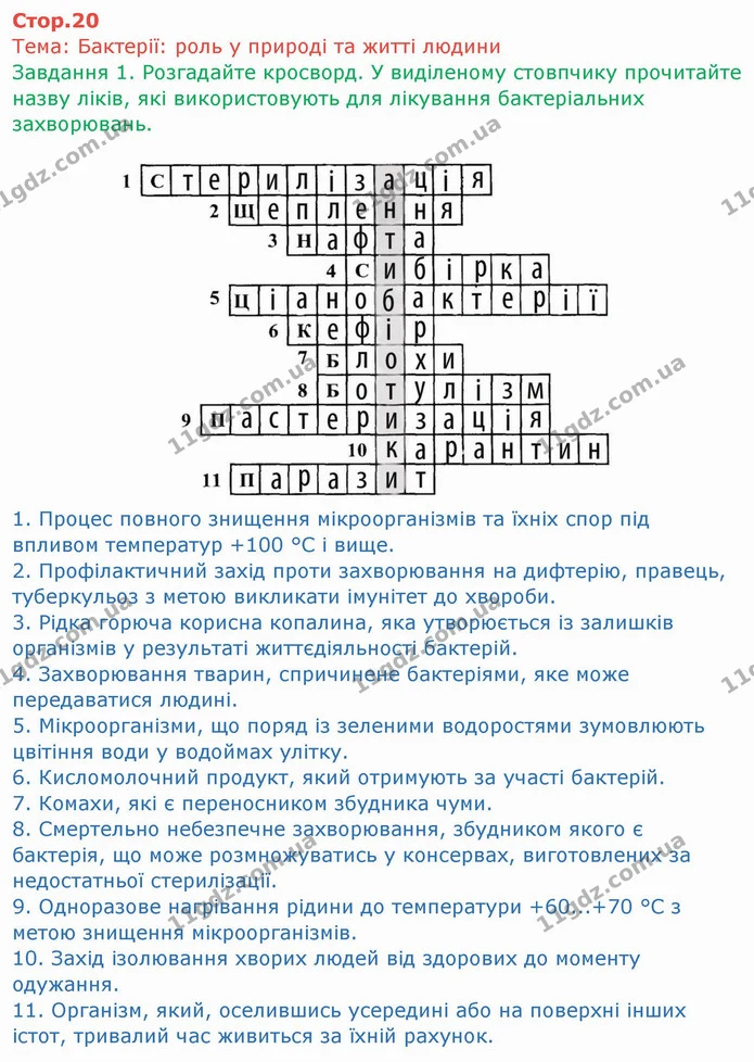 Стор. 20 — 1 — ГДЗ Робочий зошит Біологія 6 клас Мечник — ГДЗ Робочий зошит Біологія 6 клас Мечник