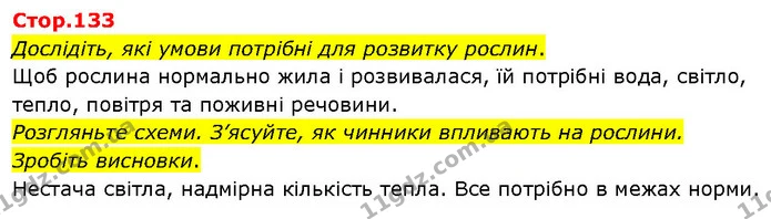 Дослідіть, які умови потрібні для розвитку рослин. — ГДЗ Я досліджую світ 3 клас Гільберг 1-2 ч.