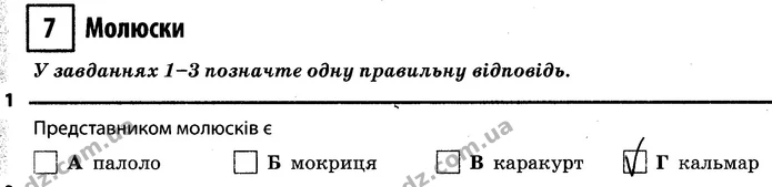 1. Представником молюсків є Г (кальмар) — ГДЗ Робочий зошит Біологія 7 клас Задорожний