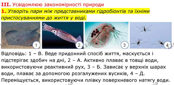 Стор. 264 — Стр.264 (3.1) — ГДЗ Біологія 7 клас Балан — ГДЗ Біологія 7 клас Балан