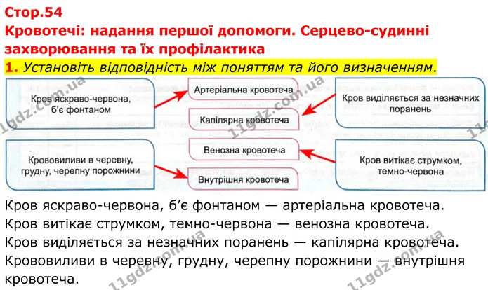1. Установіть відповідність між поняттям та його визначенням. — ГДЗ Робочий зошит Біологія 8 клас Кулініч
