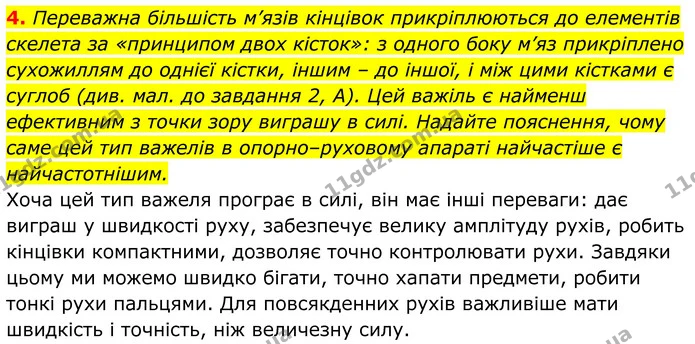 Стор. 98 — Стр.98-(4.4) — ГДЗ Біологія 8 клас Балан — ГДЗ Біологія 8 клас Балан