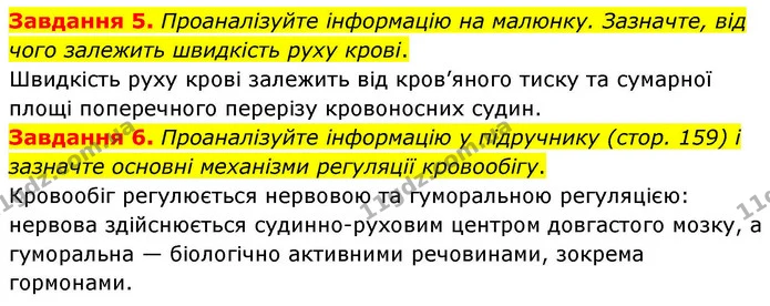 Стор. 77 — 5-6 — ГДЗ Робочий зошит біологія 8 клас Мирна — ГДЗ Робочий зошит біологія 8 клас Мирна