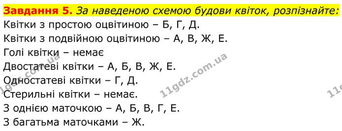 5. За наведеною схемою будови квіток, розпізнайте: — ГДЗ Робочий зошит Біологія 7 клас Мирна 2024