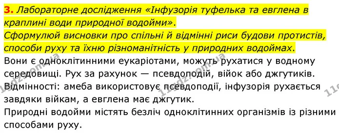3. Лабораторне дослідження «Інфузорія туфелька та евглена в краплині води природної водойми». Сформулюй висновки про спільні й відмінні — ГДЗ робочий зошит Біологія 7 клас Тагліна