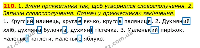 210. 1. Зміни прикметники так, щоб утворилися словосполучення. 2. Запиши словосполучення. Познач у прикметниках закінчення. — ГДЗ Українська мова та читання 3 клас Кравцова (1 частина)