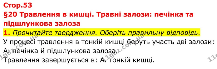 1. Прочитайте твердження. Оберіть правильну відповідь. — ГДЗ Робочий зошит Біологія 8 клас Тагліна (2025)