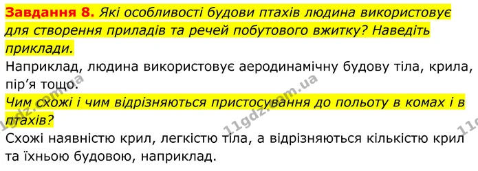 8. Які особливості будови птахів людина використовує для створення приладів та речей побутового вжитку? Наведіть приклади. — ГДЗ Робочий зошит Біологія 7 клас Мирна 2024