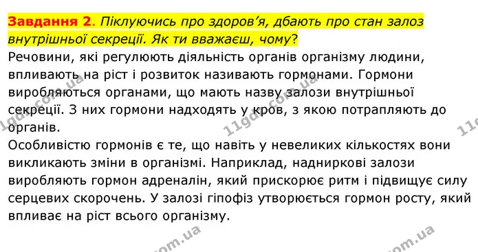 Стор. 205 — 2 — ГДЗ Пізнаємо природу 6 клас Коршевнюк — ГДЗ Пізнаємо природу 6 клас Коршевнюк