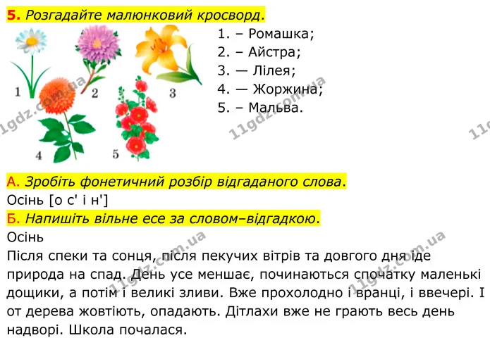 5. Розгадайте малюнковий кросворд. — ГДЗ Українська мова 8 клас Авраменко