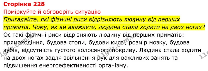 Стор. 228 — 1 — ГДЗ Біологія 8 клас Тагліна — ГДЗ Біологія 8 клас Тагліна