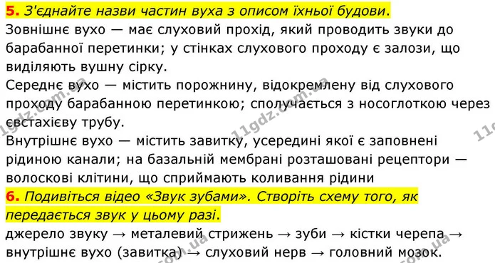 1. Виберіть і позначте V всі правильні твердження щодо сенсорної системи слуху. — частина 5 — ГДЗ Робочий зошит Біологія 8 клас Тагліна (2025)