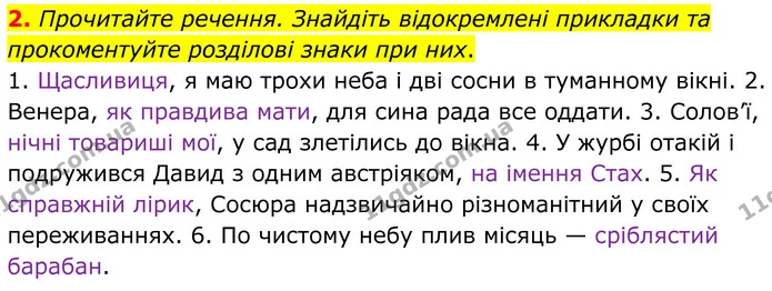 2. Прочитайте речення. Знайдіть відокремлені прикладки та прокоментуйте розділові знаки при них. — ГДЗ Українська мова 8 клас Авраменко