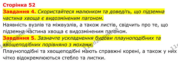 4. Скористайтеся малюнком та доведіть, що підземна частина хвоща є видозміненим пагоном. — ГДЗ Робочий зошит Біологія 7 клас Мирна 2024