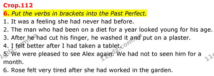 6. Put the verbs in brackets into the Past Perfect. — ГДЗ Англійська мова 7 клас Карпюк