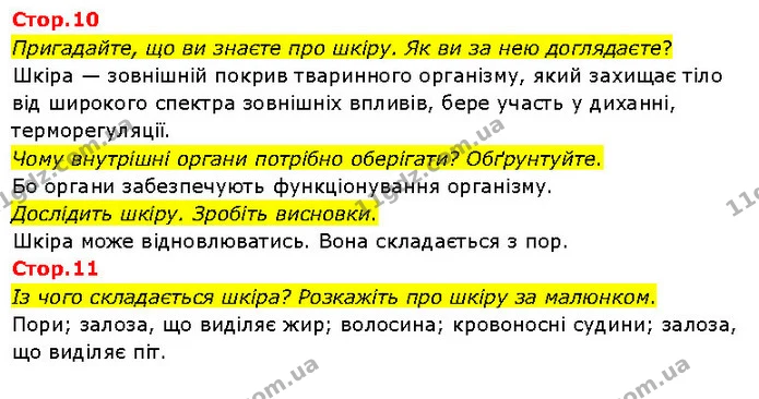 Стор. 10 — Стр.10-11 — ГДЗ Я досліджую світ 3 клас Гільберг 1-2 ч. — ГДЗ Я досліджую світ 3 клас Гільберг 1-2 ч.