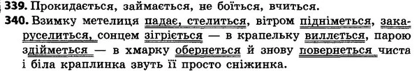 339-340 — ГДЗ Українська мова 4 класс Хорошковська, Воскресенська 2015