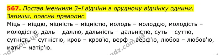 567. Постав іменники 3–ї відміни в орудному відмінку однини. Запиши, поясни правопис. — ГДЗ Українська мова 6 клас Онатій