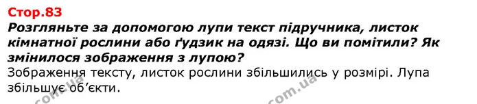 Розгляньте за допомогою лупи текст підручника, листок кімнатної рослини або ґудзик на одязі. Що ви помітили? Як змінилося зображення з — ГДЗ Я досліджую світ 1 клас Гільберг