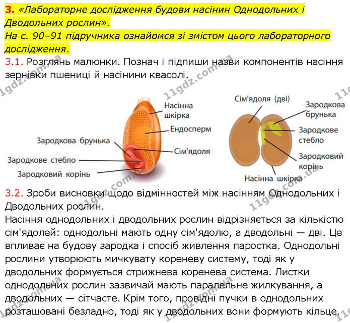 3. «Лабораторне дослідження будови насінин Однодольних і Дводольних рослин». — ГДЗ робочий зошит Біологія 7 клас Тагліна