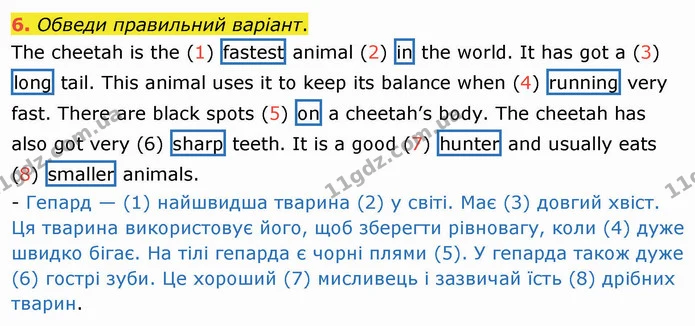 6. Обведи правильний варіант. — ГДЗ Робочий зошит Англійська мова 4 клас Карпюк