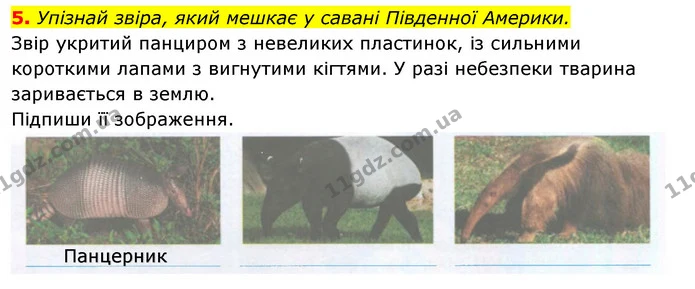 5. Упізнай звіра, який мешкає у савані Південної Америки. — ГДЗ Робочий зошит Я досліджую світ 4 клас Гільберг