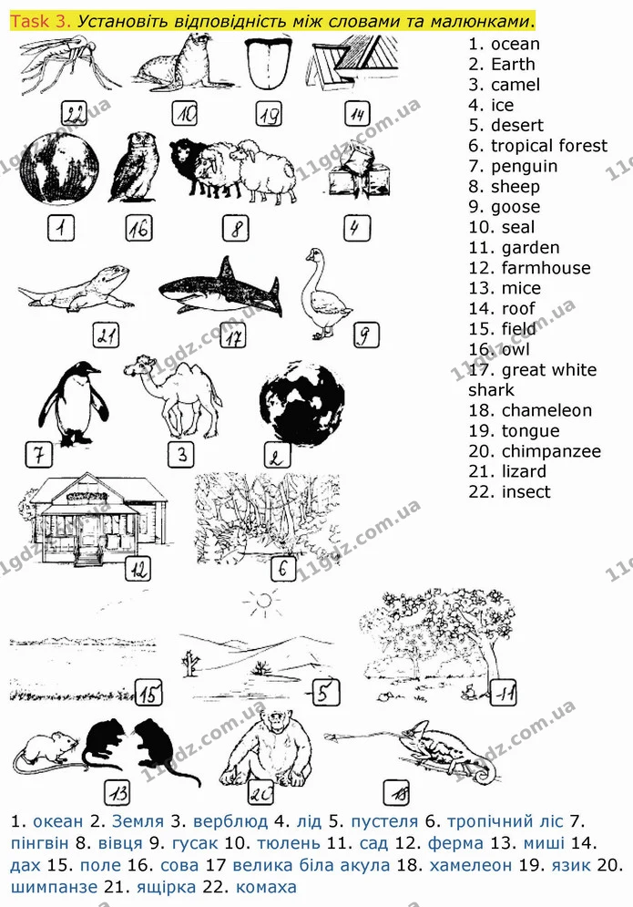Test.5 (3) — ГДЗ Робочий зошит Англійська мова 4 клас Карпюк — ГДЗ Робочий зошит Англійська мова 4 клас Карпюк