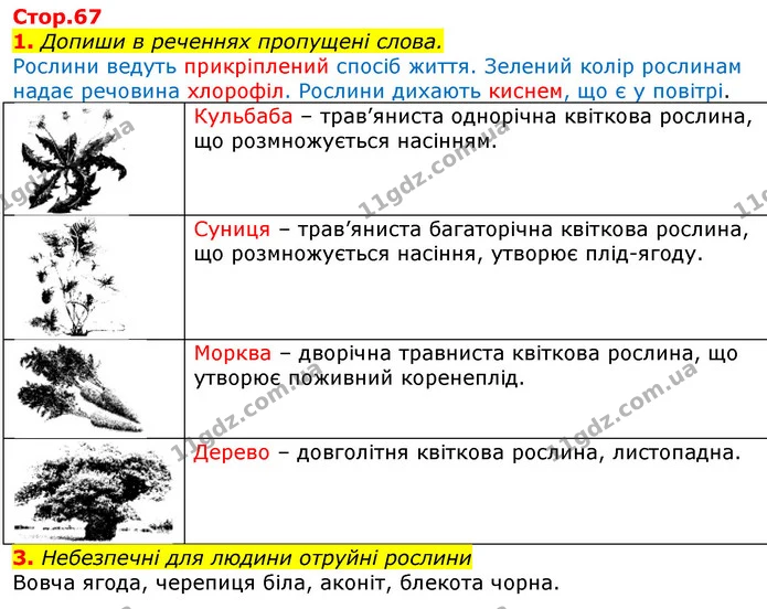 1. Допиши в реченнях пропущені слова. — ГДЗ Робочий зошит Природознавство 5 клас Коршевнюк