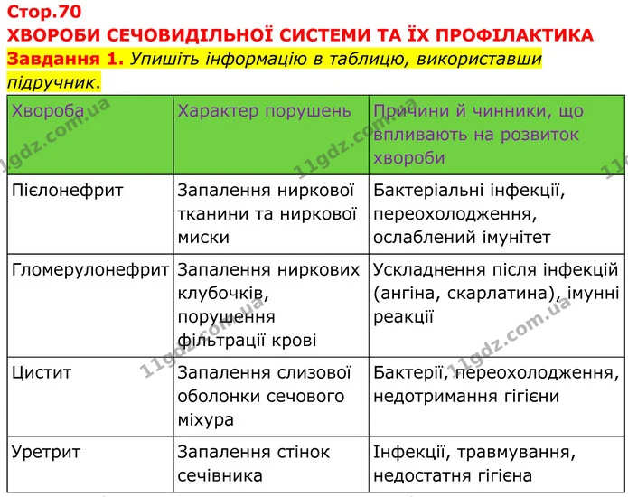 Стор. 70 — 1 — ГДЗ робочий зошит Біологія 8 клас Андерсон — ГДЗ робочий зошит Біологія 8 клас Андерсон
