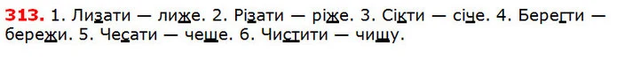 313 — ГДЗ Українська мова 5 клас Глазова 2018 — ГДЗ Українська мова 5 клас Глазова 2018
