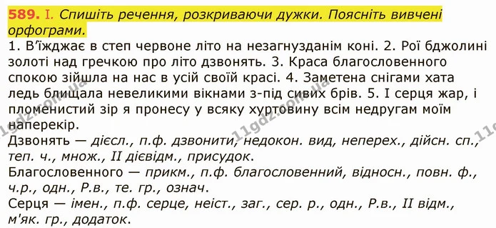 589. І. Спишіть речення, розкриваючи дужки. Поясніть вивчені орфограми. — ГДЗ Українська мова 6 клас Заболотний 2019