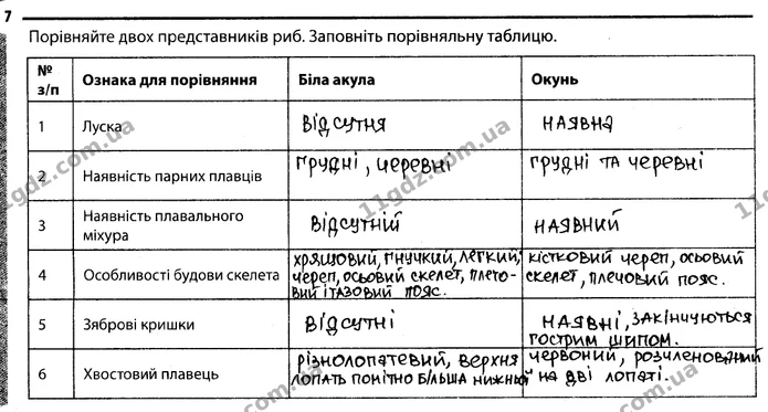 7. Порівняйте двох представників риб. Заповніть порівняльну таблицю. — ГДЗ Робочий зошит Біологія 7 клас Задорожний