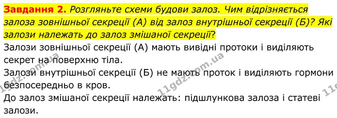 Стор. 31 — 2 — ГДЗ Робочий зошит біологія 8 клас Мирна — ГДЗ Робочий зошит біологія 8 клас Мирна