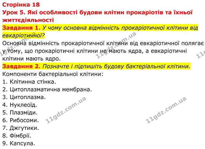 1. У чому основна відмінність прокаріотичної клітини від евкаріотичної? — ГДЗ Робочий зошит Біологія 7 клас Мирна 2024