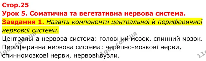 Стор. 25 — 1 — ГДЗ Робочий зошит біологія 8 клас Мирна — ГДЗ Робочий зошит біологія 8 клас Мирна